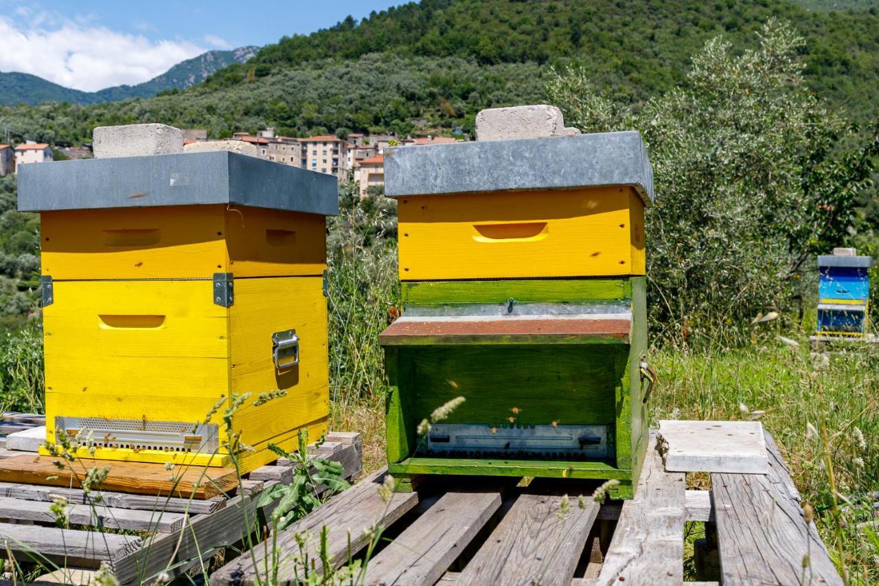 Arve Castelbianco - B&B E Appartamento Colletta Екстериор снимка